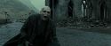RdM2-Potterish_12609.jpg