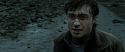 RdM2-Potterish_12613.jpg