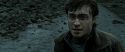 RdM2-Potterish_12614.jpg