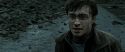 RdM2-Potterish_12616.jpg