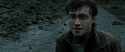 RdM2-Potterish_12617.jpg