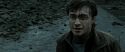 RdM2-Potterish_12618.jpg