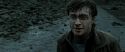 RdM2-Potterish_12619.jpg
