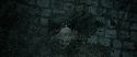 RdM2-Potterish_12631.jpg