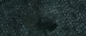 RdM2-Potterish_12644.jpg