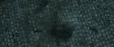 RdM2-Potterish_12646.jpg
