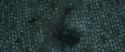 RdM2-Potterish_12647.jpg