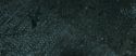 RdM2-Potterish_12653.jpg