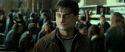 RdM2-Potterish_12714.jpg