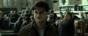 RdM2-Potterish_12731.jpg