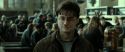 RdM2-Potterish_12732.jpg