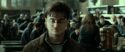 RdM2-Potterish_12733.jpg