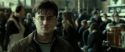 RdM2-Potterish_12735.jpg