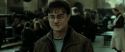 RdM2-Potterish_12747.jpg
