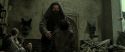 RdM2-Potterish_12773.jpg