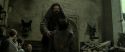 RdM2-Potterish_12774.jpg