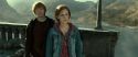 RdM2-Potterish_12897.jpg