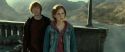 RdM2-Potterish_12898.jpg