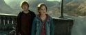 RdM2-Potterish_12899.jpg