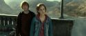 RdM2-Potterish_12901.jpg