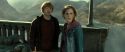 RdM2-Potterish_12969.jpg