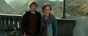 RdM2-Potterish_12971.jpg