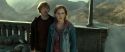 RdM2-Potterish_13000.jpg