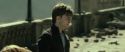 RdM2-Potterish_13024.jpg