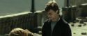 RdM2-Potterish_13030.jpg
