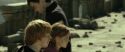 RdM2-Potterish_13033.jpg