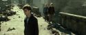 RdM2-Potterish_13059.jpg