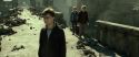 RdM2-Potterish_13062.jpg