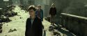 RdM2-Potterish_13070.jpg
