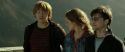 RdM2-Potterish_13086.jpg
