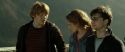 RdM2-Potterish_13087.jpg