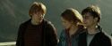 RdM2-Potterish_13089.jpg