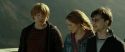 RdM2-Potterish_13091.jpg
