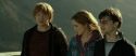 RdM2-Potterish_13093.jpg