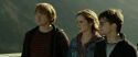 RdM2-Potterish_13102.jpg