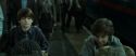 RdM2-Potterish_13207.jpg