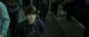 RdM2-Potterish_13210.jpg