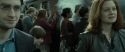 RdM2-Potterish_13358.jpg