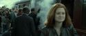 RdM2-Potterish_13367.jpg