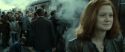 RdM2-Potterish_13368.jpg