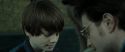 RdM2-Potterish_13388.jpg