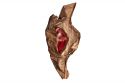 Sorcerers-Stone_676b.jpg
