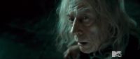 TeaserTrailerRdMMTVPotterish_2811729.jpg