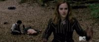 TeaserTrailerRdMMTVPotterish_2811929.jpg