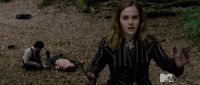 TeaserTrailerRdMMTVPotterish_2812029.jpg