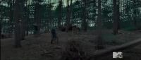 TeaserTrailerRdMMTVPotterish_2832929.jpg